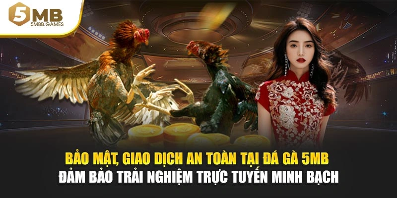 Bảo mật, giao dịch an toàn tại đá gà 5MB đảm bảo trải nghiệm trực tuyến minh bạch