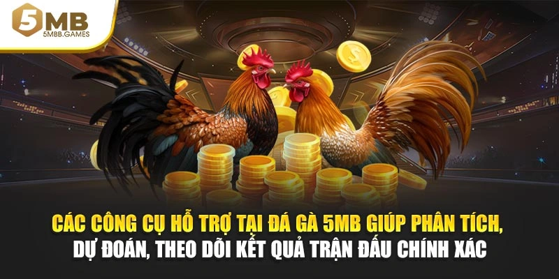 Các công cụ hỗ trợ tại đá gà 5MB giúp phân tích, dự đoán, theo dõi kết quả trận đấu chính xác