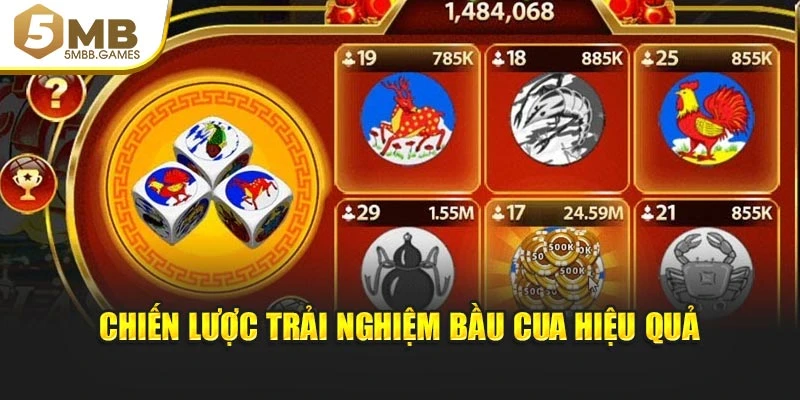 Chiến lược trải nghiệm Bầu Cua hiệu quả
