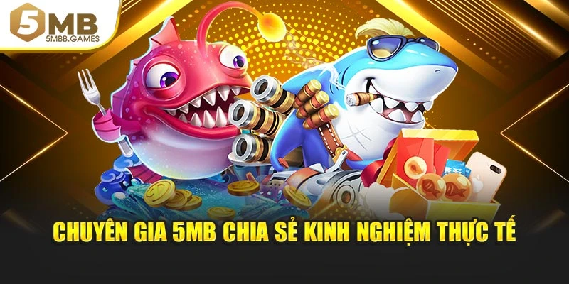 Chuyên gia 5MB chia sẻ kinh nghiệm thực tế