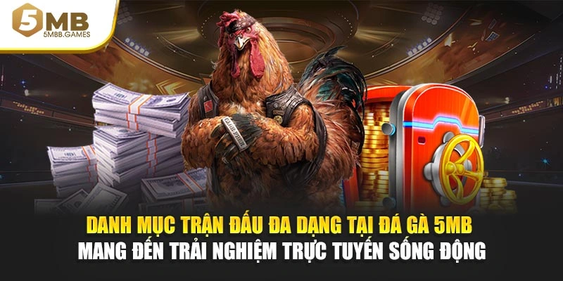 Danh mục trận đấu đa dạng tại đá gà 5MB mang đến trải nghiệm trực tuyến sống động