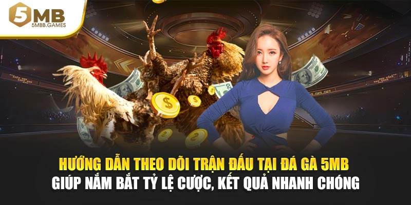 Hướng dẫn theo dõi trận đấu tại đá gà 5MB giúp nắm bắt tỷ lệ cược, kết quả nhanh chóng