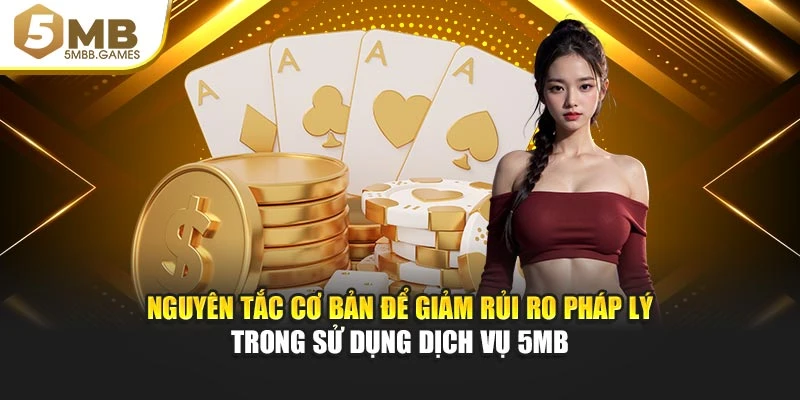 Nguyên tắc cơ bản để giảm rủi ro pháp lý trong sử dụng dịch vụ 5MB